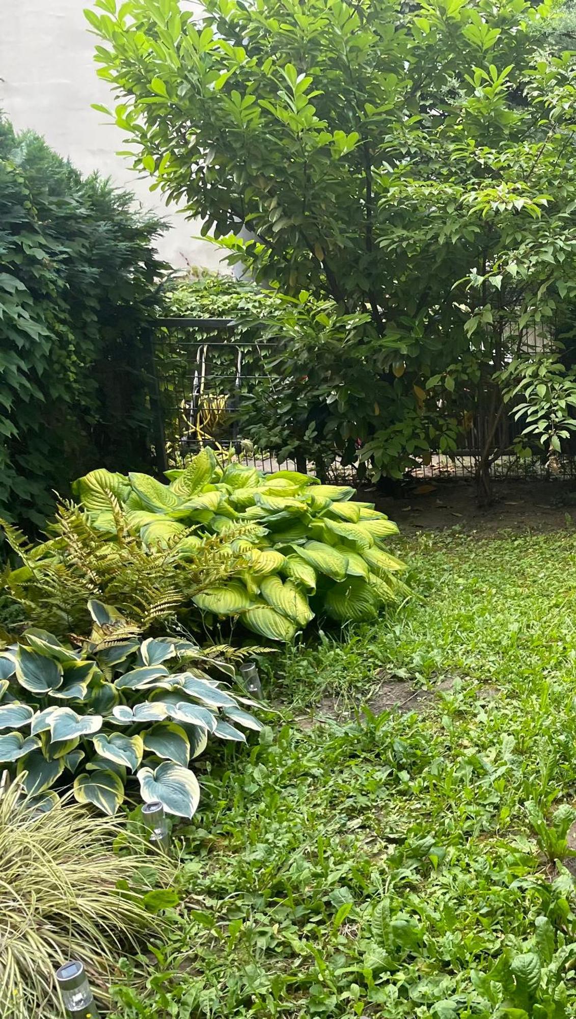 Apartment Mit Logia Und Kleinen Garten In Zentraler Lage 2 Βιέννη Εξωτερικό φωτογραφία